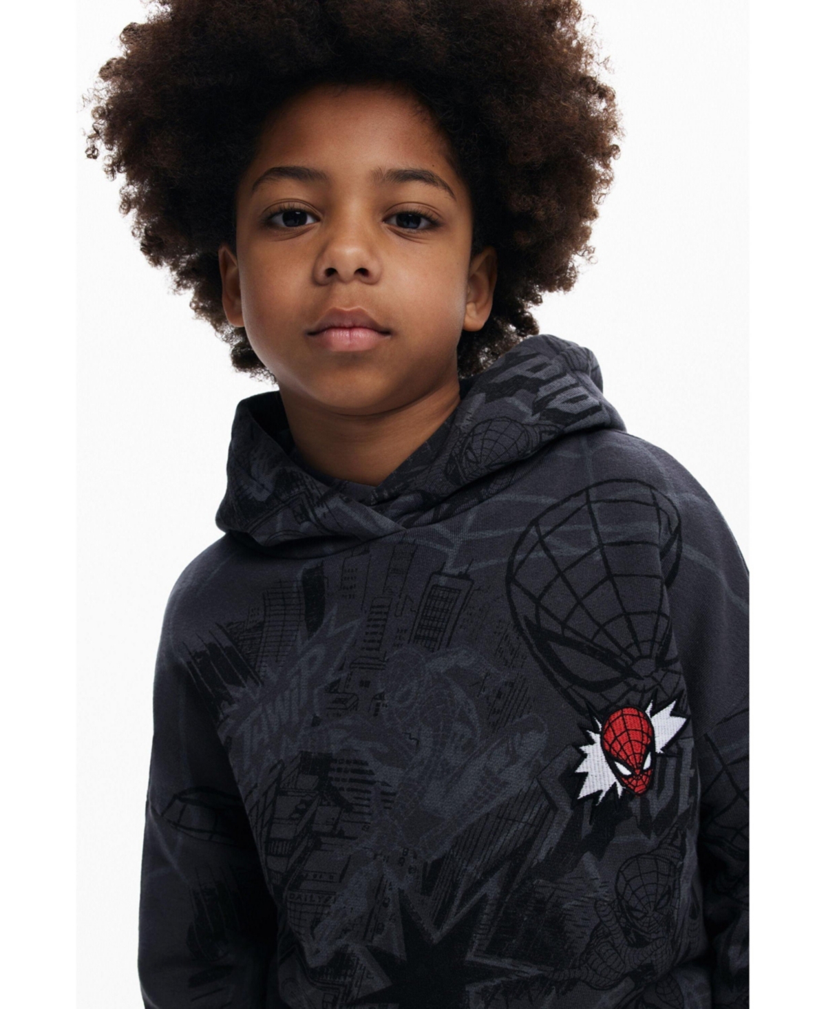 Desigual Boys Boys's Spiderman web sweatshirt