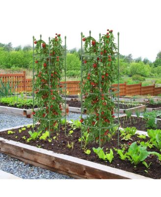 3-Pack Garden Tomato Trellis 60'' Plant Support Cage w/ Adjustable Size for Plants