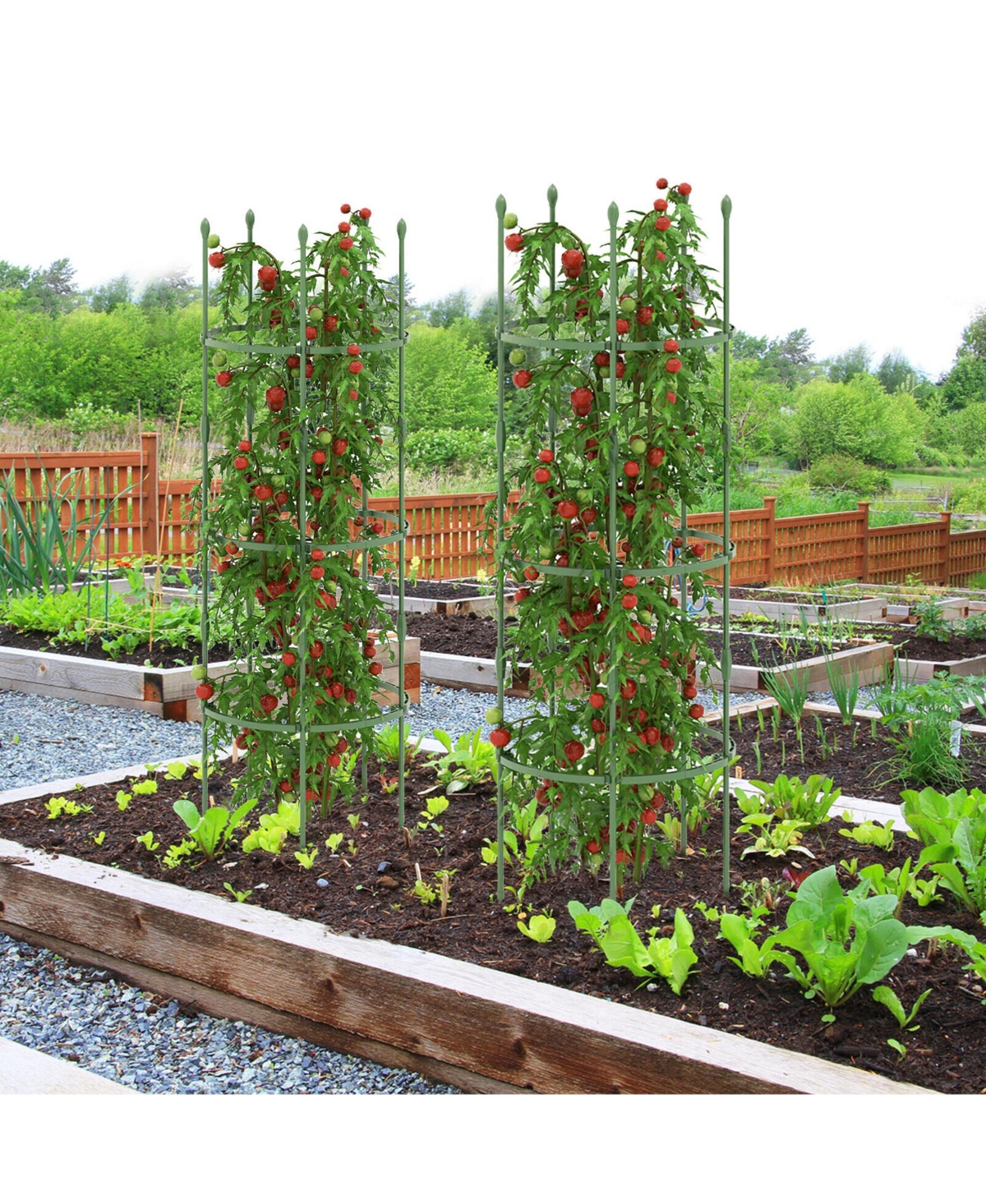 Gymax 3-Pack Garden Tomato Trellis 60'' Plant Support Cage w/ Adjustable Size for Plants