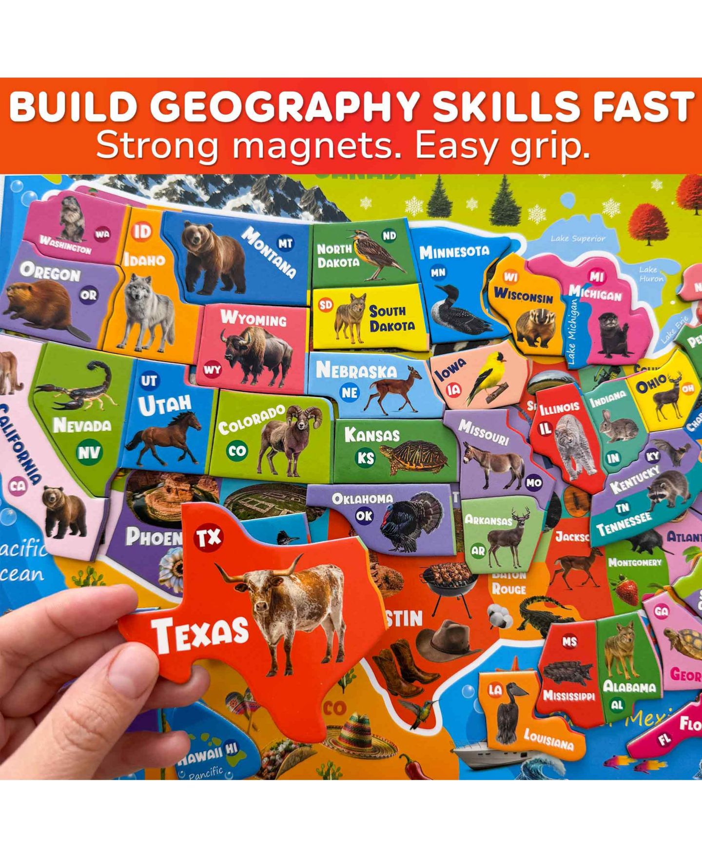 Детские игрушки Quokka USA & World Map Magnetic Puzzle, 2-Piece Set, Ages 3+, цвет: Magnet Real States — фото 5