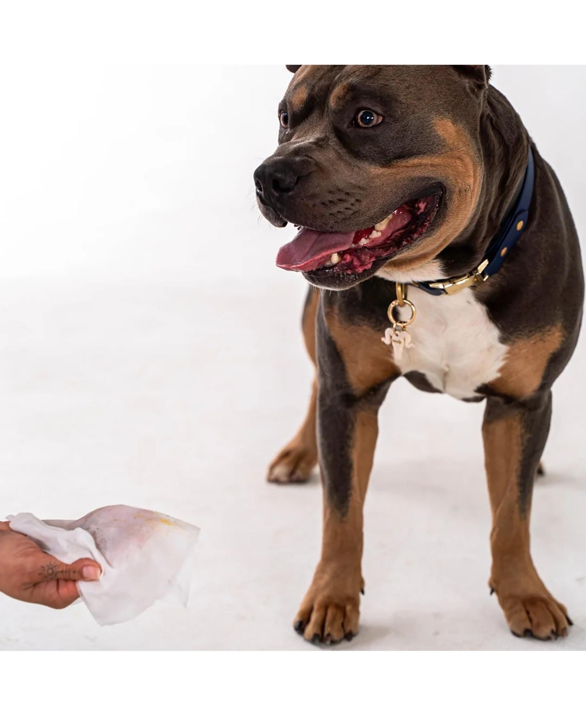 Dexypaws Pet Wipes: Lavender