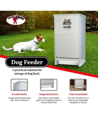 Dry Food Automatic Steel Dog Feeder Chow Hound 25 LB (2 Pack)