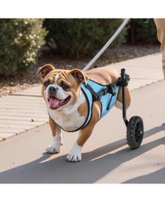 Shock-Absorbing 2-Wheel Pet Wheelchair for Back Legs, Medium