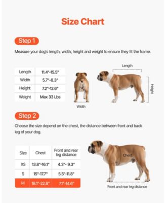 Shock-Absorbing 2-Wheel Pet Wheelchair for Back Legs, Medium