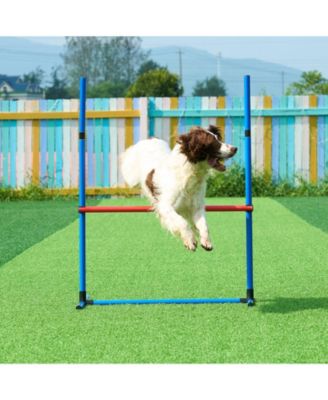 4-Piece Dog Agility Training Set with Jump Ring & Hurdles