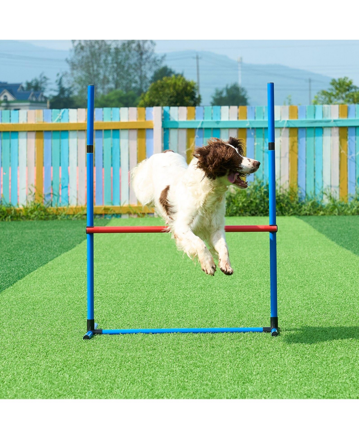 Cozito 4-Piece Dog Agility Training Set with Jump Ring & Hurdles