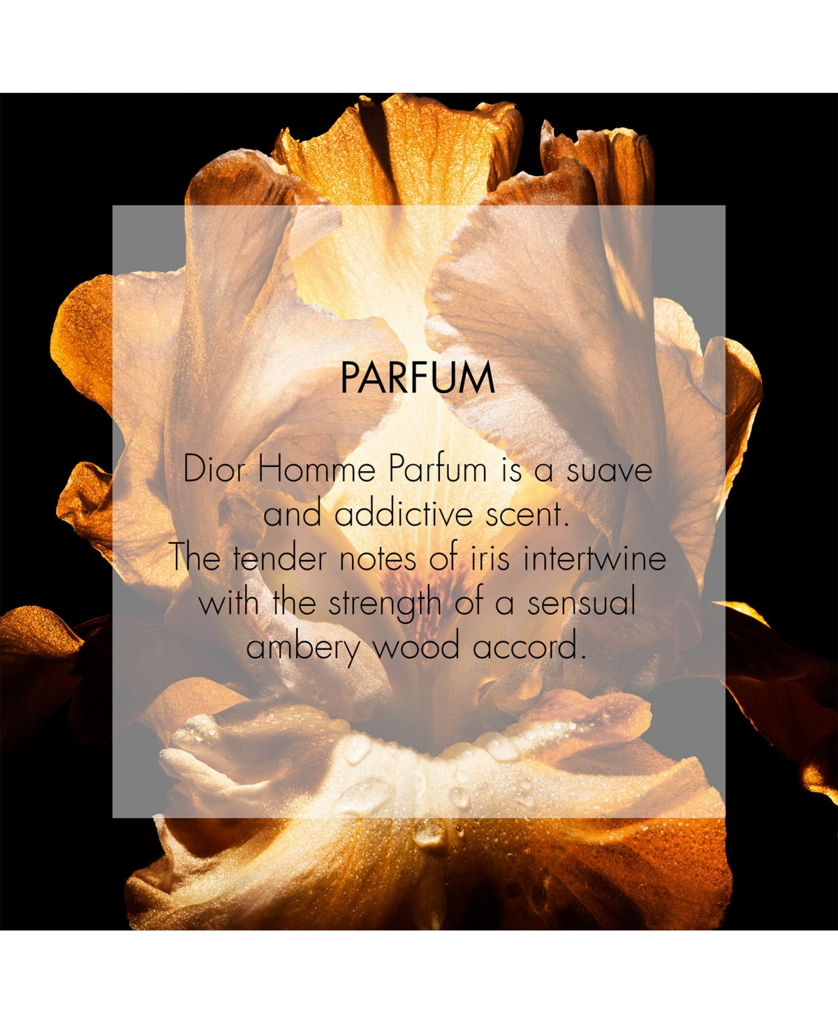 Dior Men's Homme Parfum, 4.2 oz.