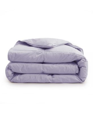 Comfort Goose Down Feather Comforter, Full/Queen