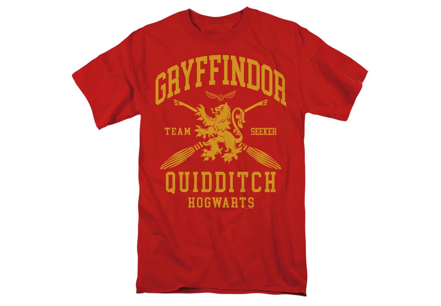 Мужская футболка Harry Potter Gryffindor Quidditch Arch, цвет: Красный — фото 1