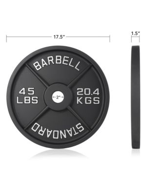 Set of 2 Standard Cast Iron Olympic 2-inch Weight Plates (45 LB each)