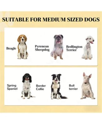 Dog Bowls Food Storage Cabinet with 2 Doors in White