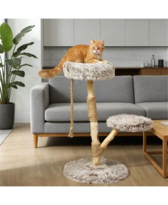 35.4'' Cat Tree with Wooden Scratching Posts in Natural Wood