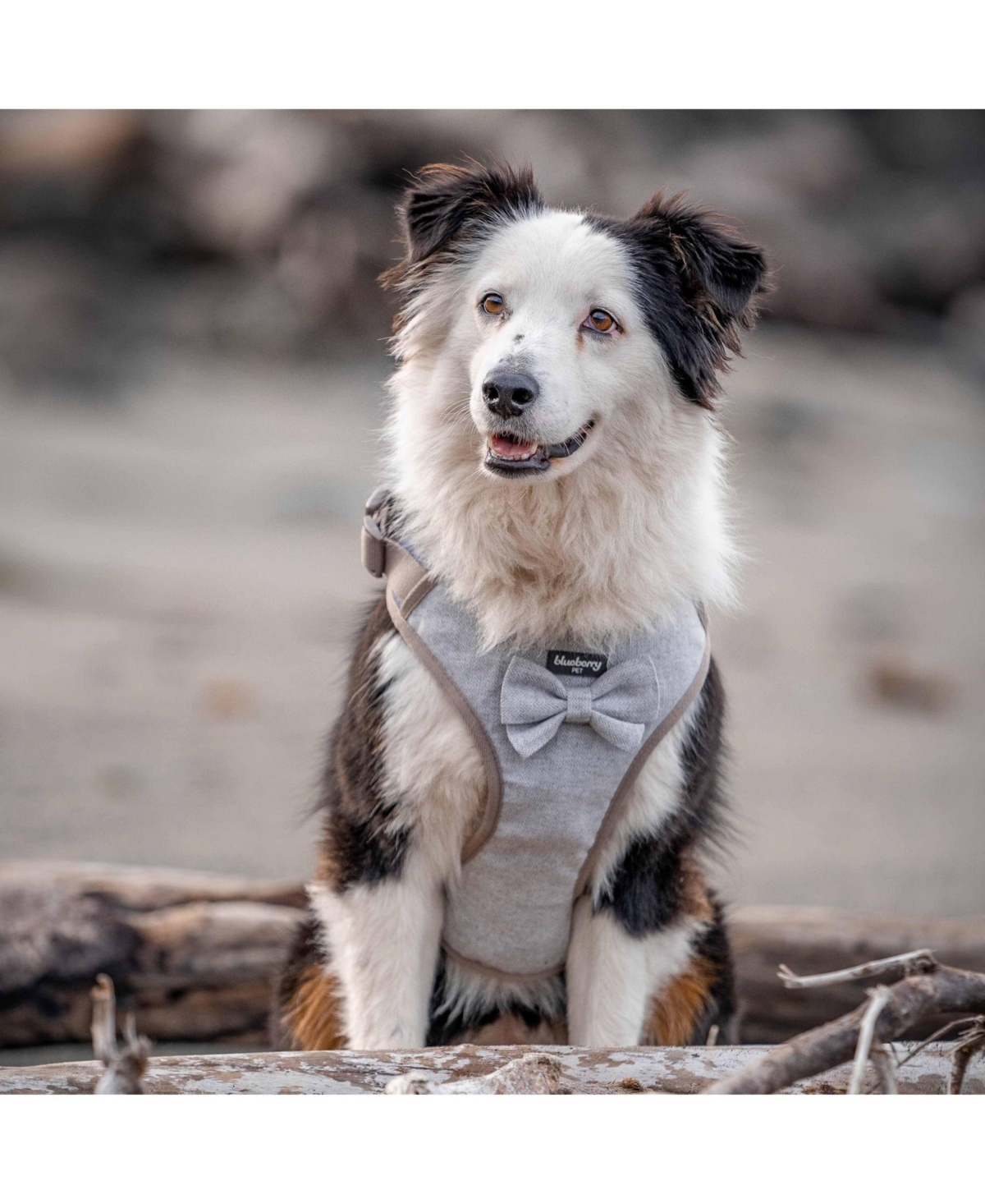 Blueberry Pet Textured Tweed Dog Harness Vest