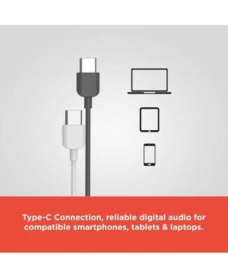 2 Pack (1 Gray and 1 White) In-Ear Earphones with Type-C Inputs For All Smart Phones