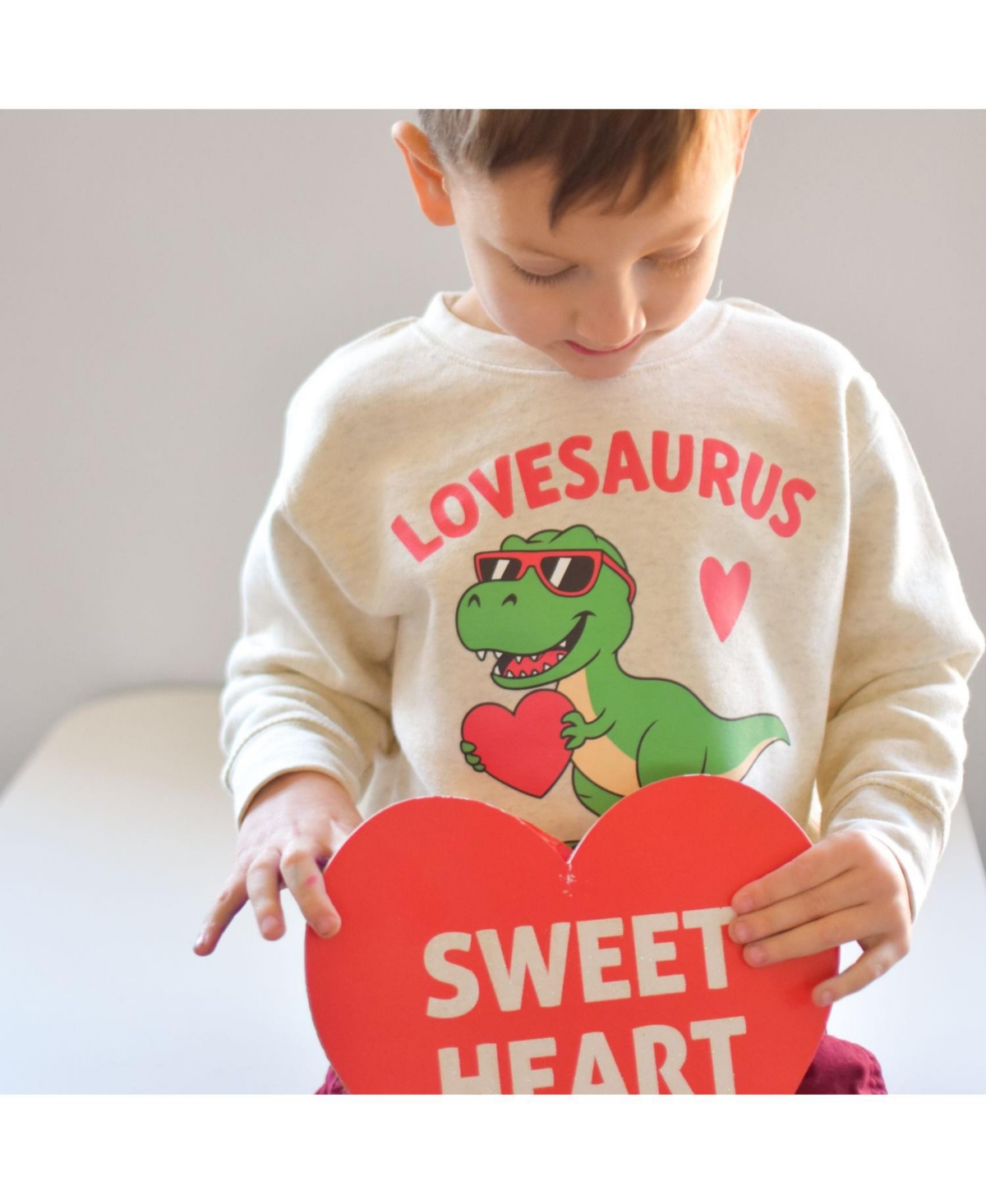 Sweet Wink Little Boys Lovesaurus Valentine's Day Sweatshirt