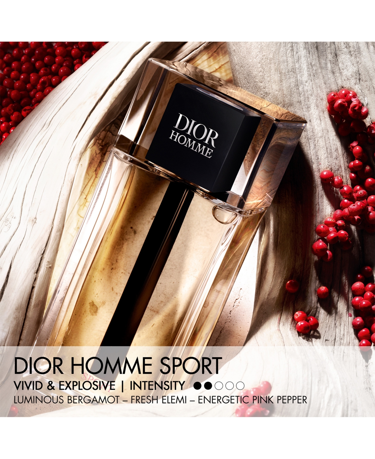 Dior Homme Sport Eau de Toilette Spray