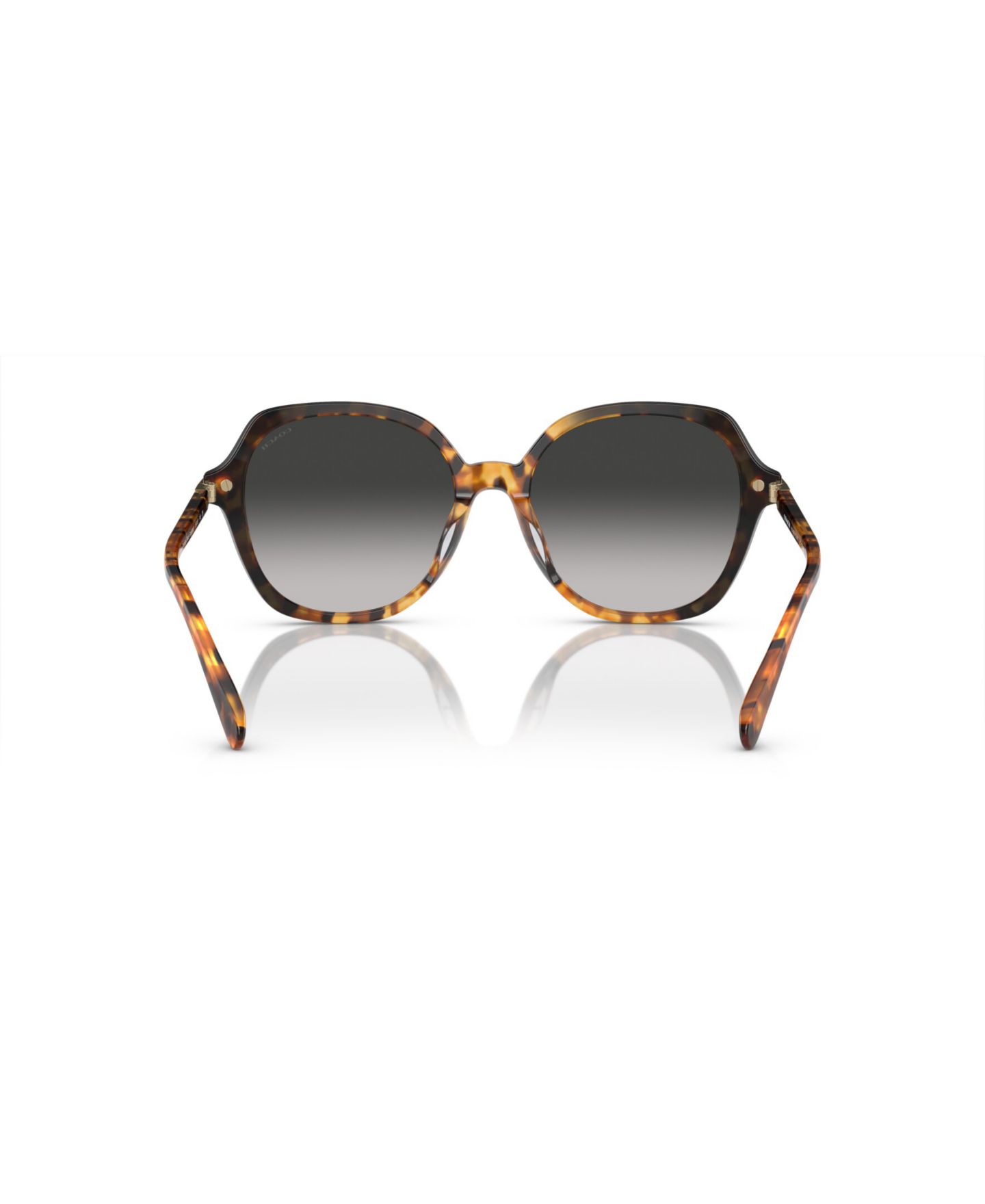 Женские солнцезащитные очки Coach Round Sunglasses, CL925 HC8377U, цвет: Медовый черепаховый чёрный градиентный — фото 4