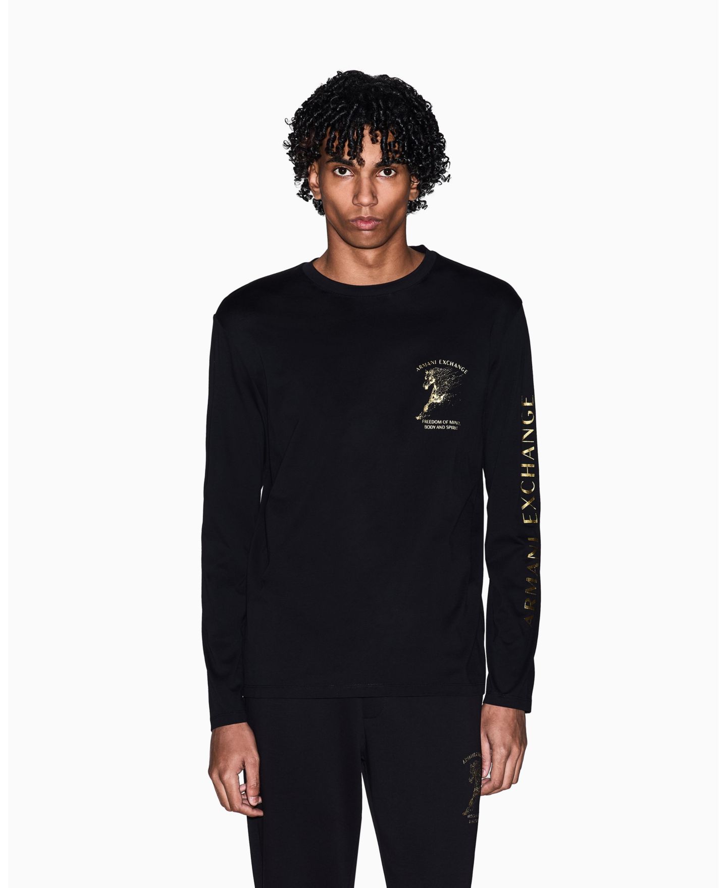Мужской свитшот A|X Armani Exchange Lunar New Year Back Graphic Crew Neck, цвет: Чёрный — фото 1