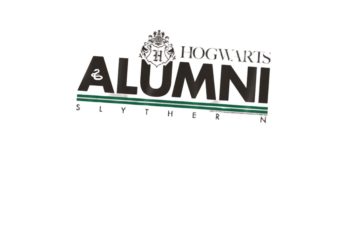 Мужская футболка Harry Potter Slytherin Alumni, цвет: Серебряный — фото 2