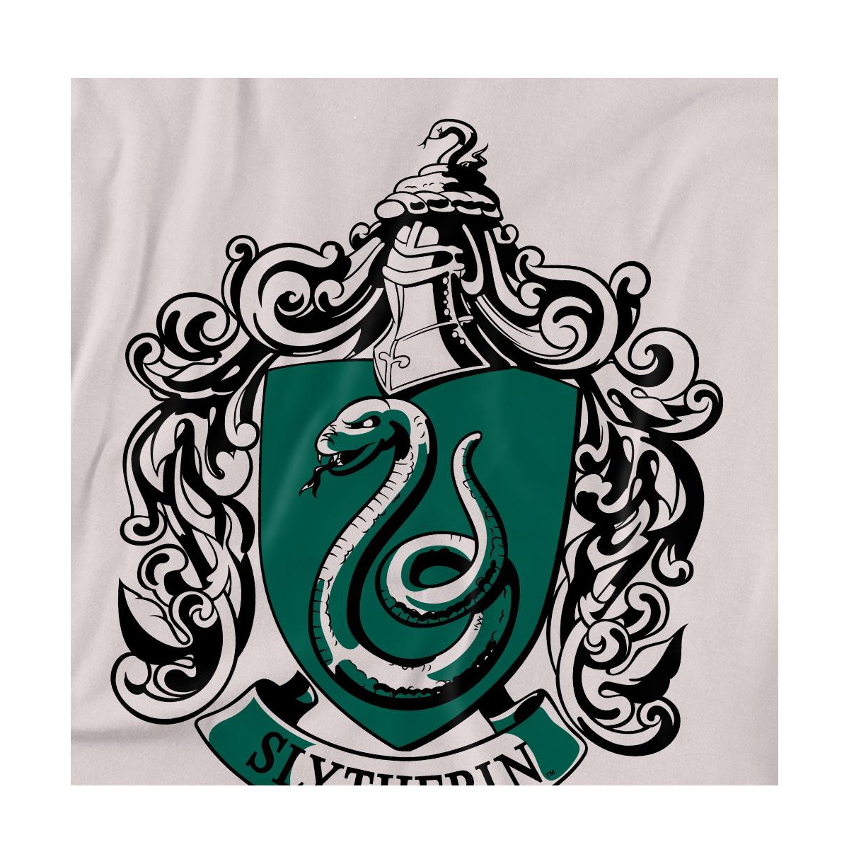 Harry Potter Big & Tall Slytherine Crest T Shirt