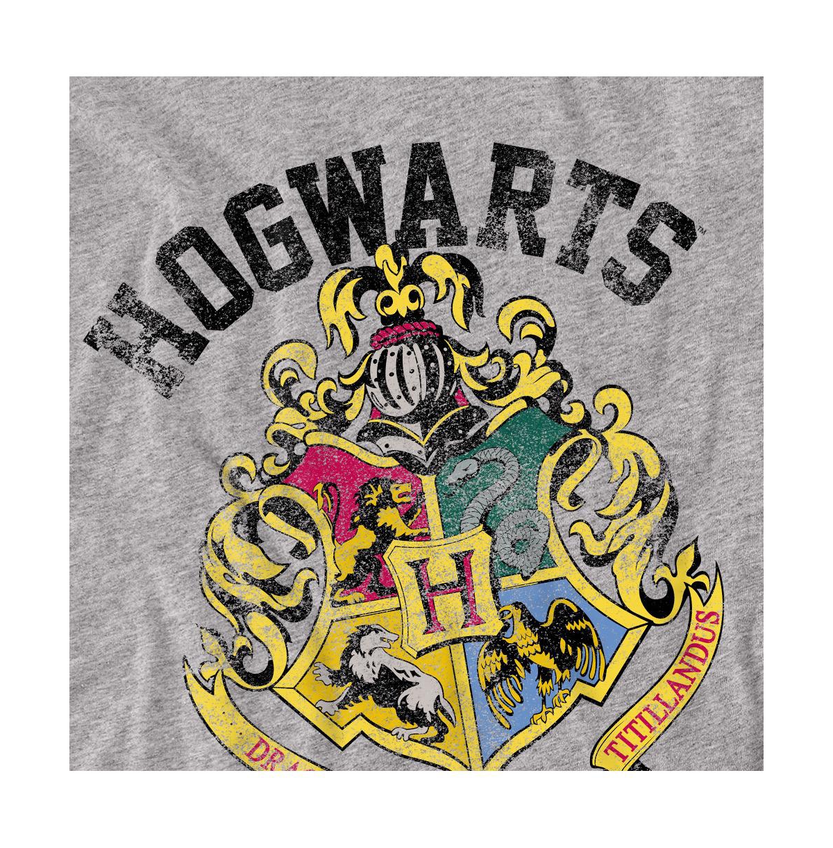 Harry Potter Big & Tall Hogwarts Crest T Shirt