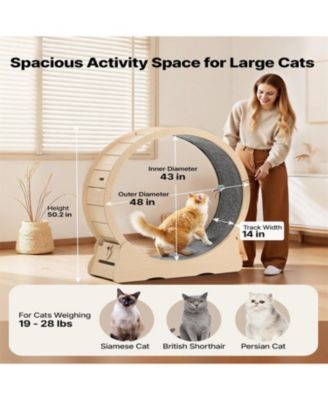 48 in Wooden Cat Running Wheel with Carpeted Runway in Natural Wood