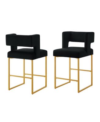 Modern Fashion Counter Height Bar Stools, Set of 2