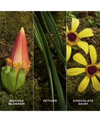 Daisy Wild Eau So Extra Eau de Parfum, 3.3 oz