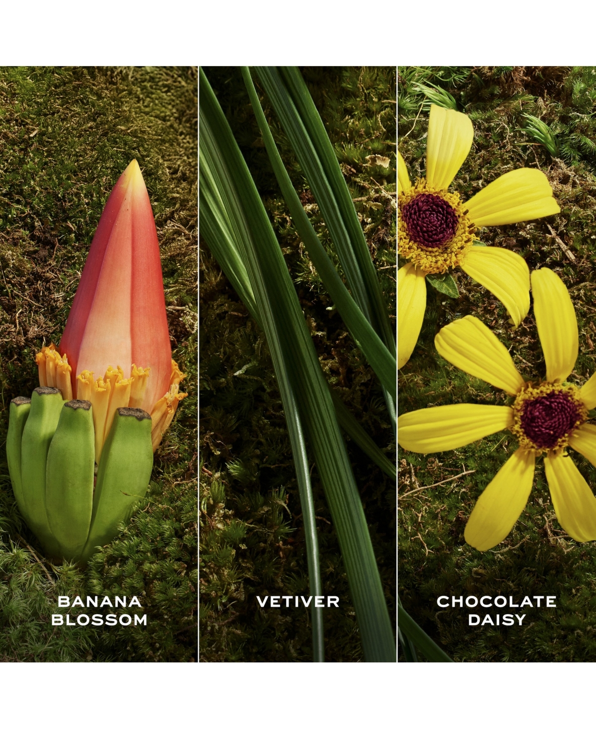 Marc Jacobs Daisy Wild Eau So Extra Eau De Parfum Spray, 0.3 oz.