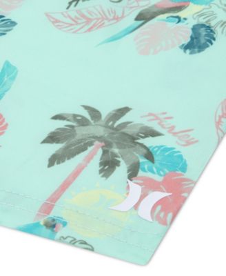 Boys' 4-7 Parrot-Dise Swim T-Shirt and Shorts, 2-Piece Set