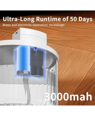 Touch-Free Automatic Pet Waterer, 2L Smart Sensor Fountain with Continuous Fresh Water for Cats, White