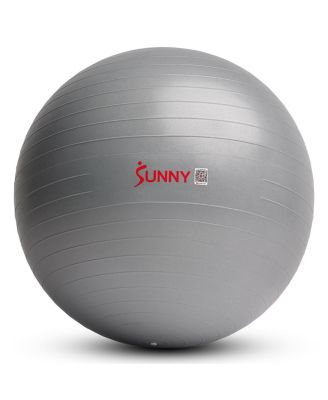 Premium Yoga Ball Small 55CM Anti-Burst Exercise Ball with Pump