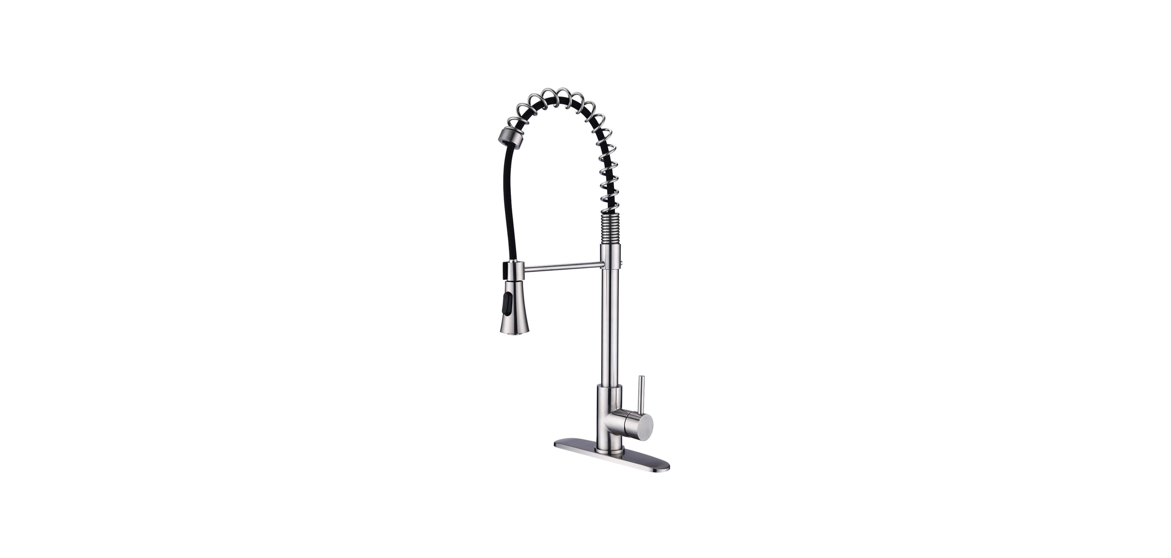 Rainsken Kitchen Faucet, with Pull Down, Sprayer Single Hole Stainless Steel Sink Faucet, for Farmhouses, Rv, Laundry Room, Outdoor, and Campers