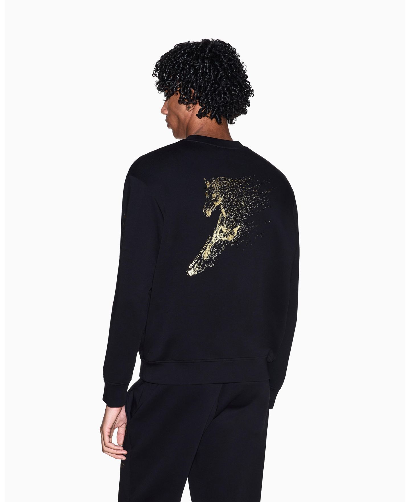Мужской свитшот A|X Armani Exchange Lunar New Year Back Graphic Crew Neck, цвет: Чёрный — фото 4