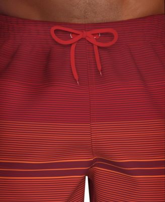 Men's 9" Breaker Stripe Volley Swim Shorts