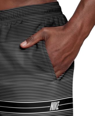 Men's 9" Breaker Stripe Volley Swim Shorts