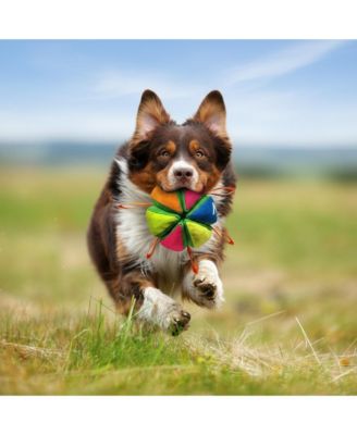Interactive Dog Toy: Treat Dispensing Ball & Chew Toy, Durable Latex Wedge Shape for Mental Stimulation and Play