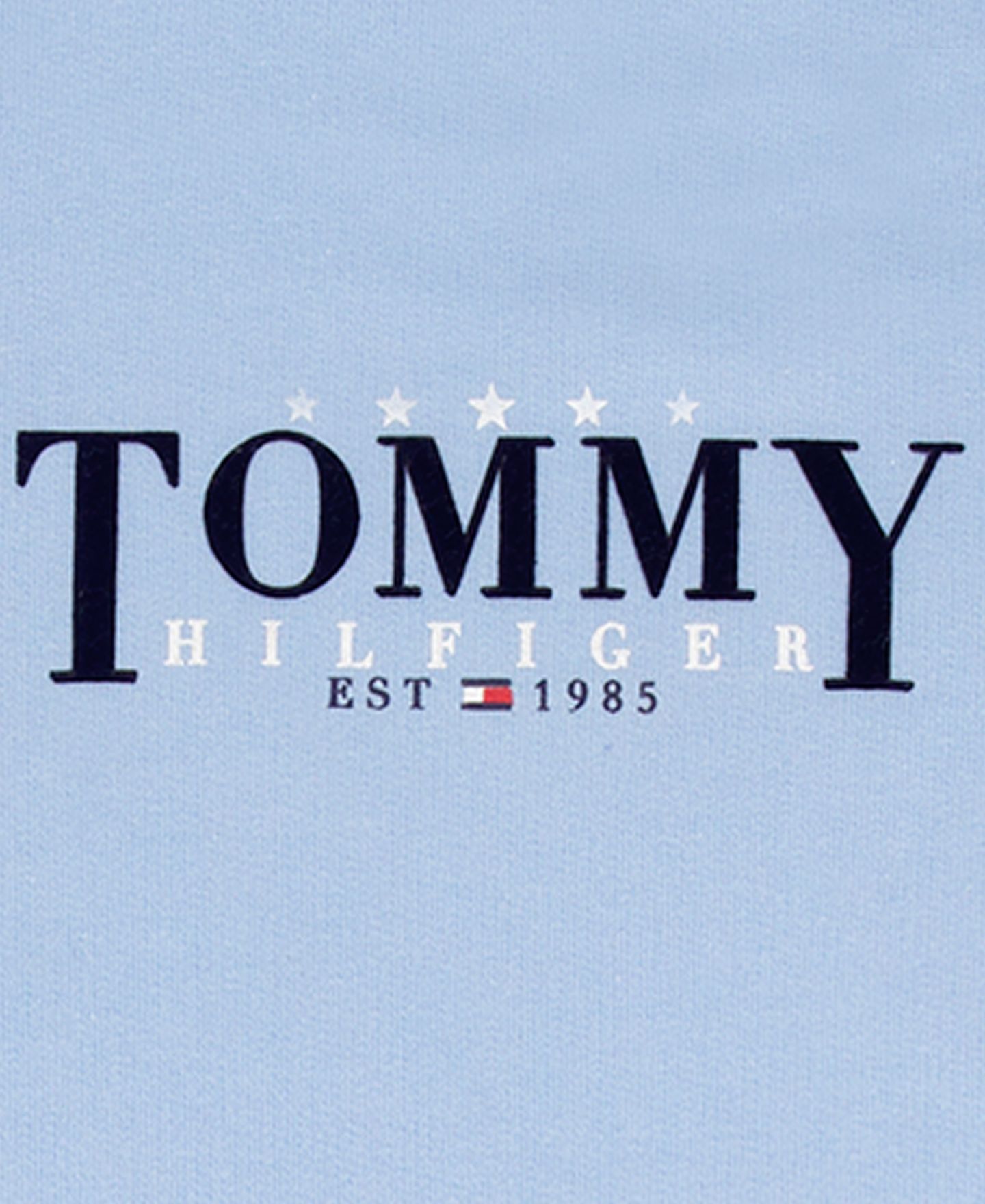 Комплект Tommy Hilfiger Crewneck T-Shirt and French Terry Shorts, 2-Piece Set для мальчиков-малышей, цвет: Синий — фото 9