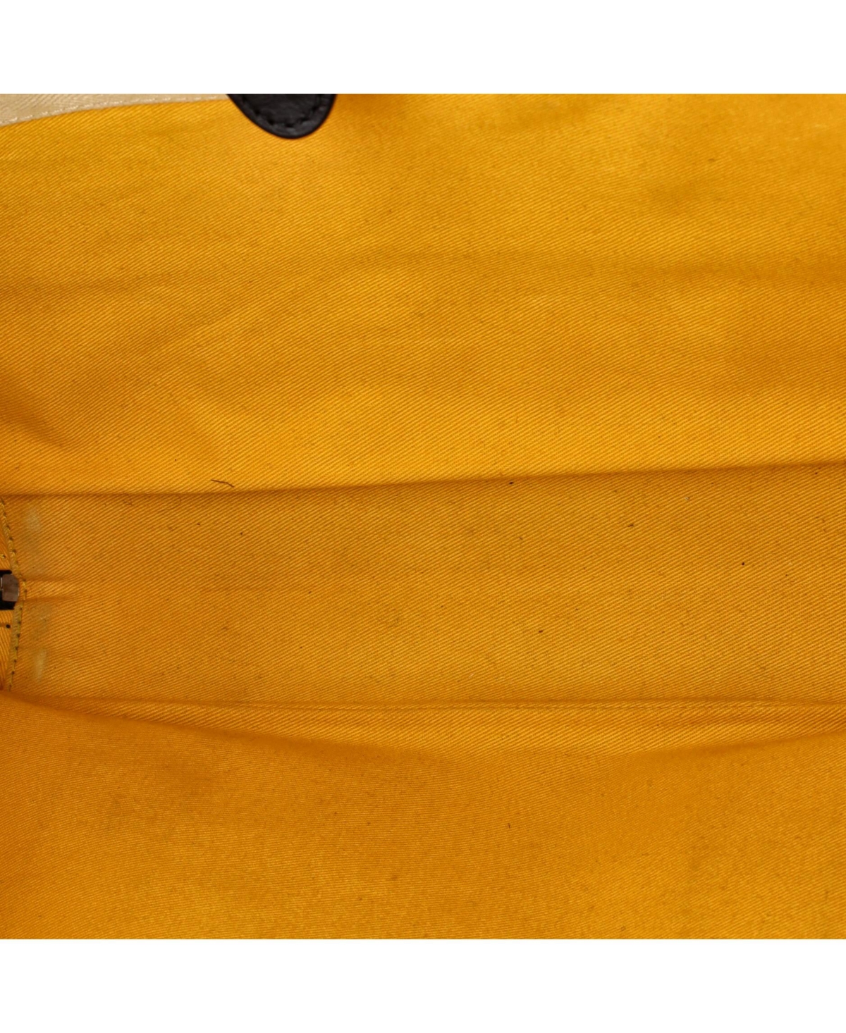 Pre-Owned Goyard Pm Ambassade Briefcase Coated Canvas