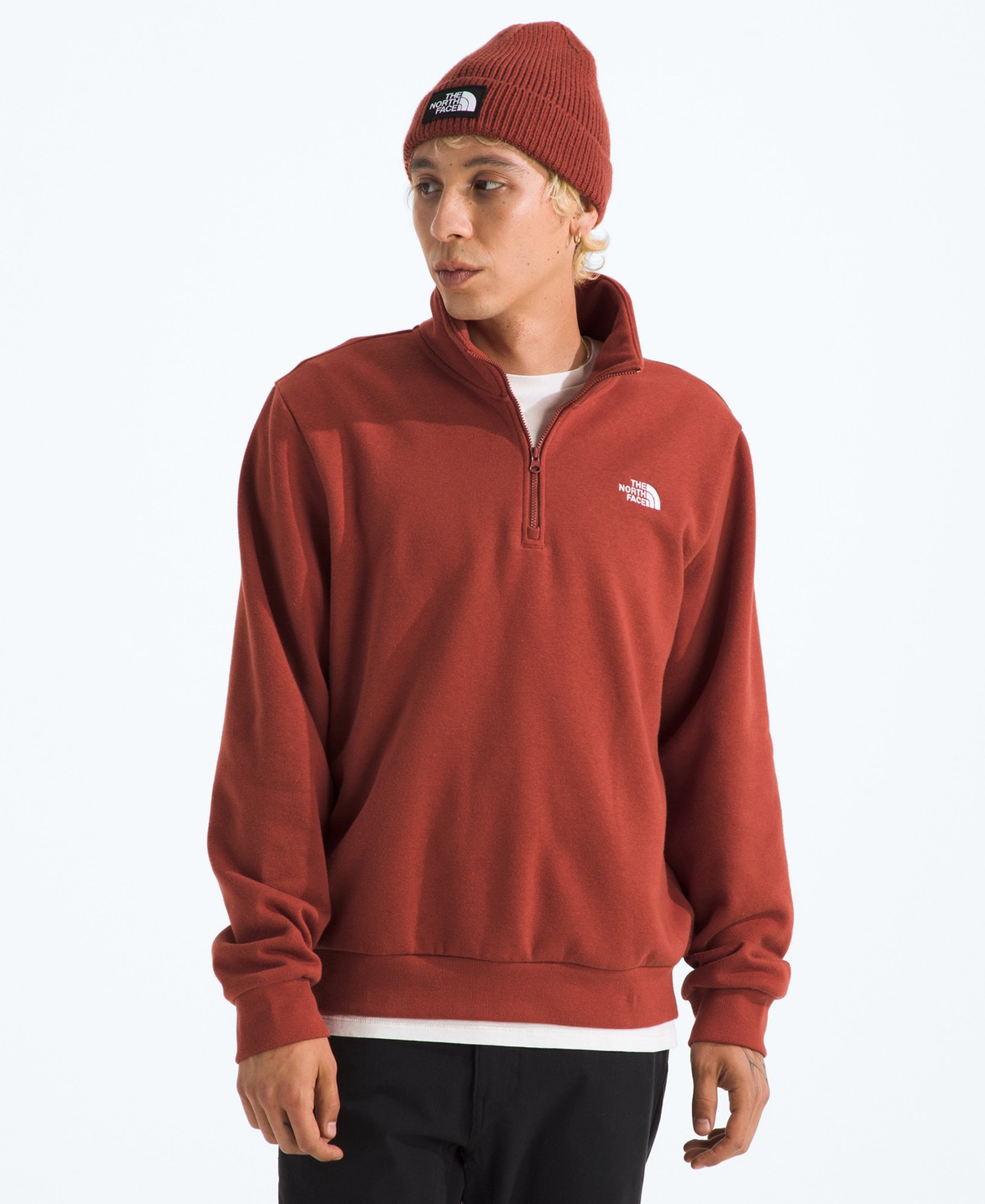 Мужские худи The North Face Men's Evolution Simple Dome Regular Quarter-Zip Sweatshirt — фото 1