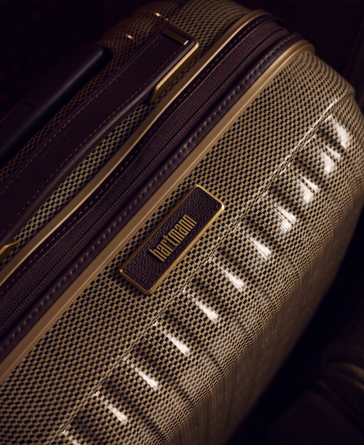 Чемодан Hartmann Tweed Curv Small Global Carry-On Spinner — фото 11