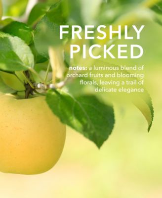 Freshly Picked Goat Milk Body Lotion, 8.5 oz.