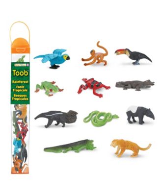 - Rainforest Toop with densest jungles