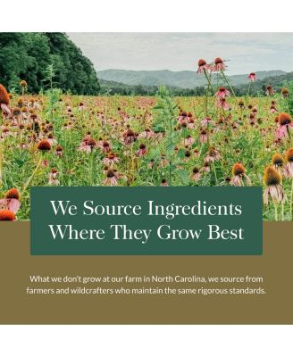 Ginkgo Leaf - Traditionally Used to Support Healthy Circulation & Brain Function - 60 Vegan Liquid Phyto-Caps (30 Servings)