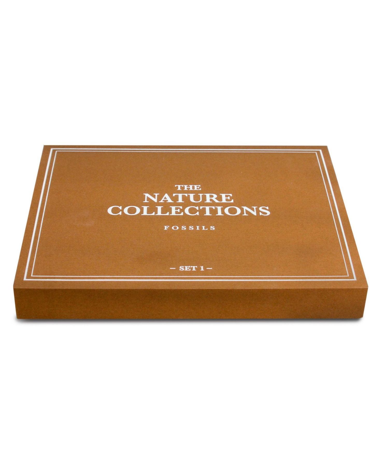 Детские игрушки Geoworld The Nature Collection - Fossils Set 1 — фото 2