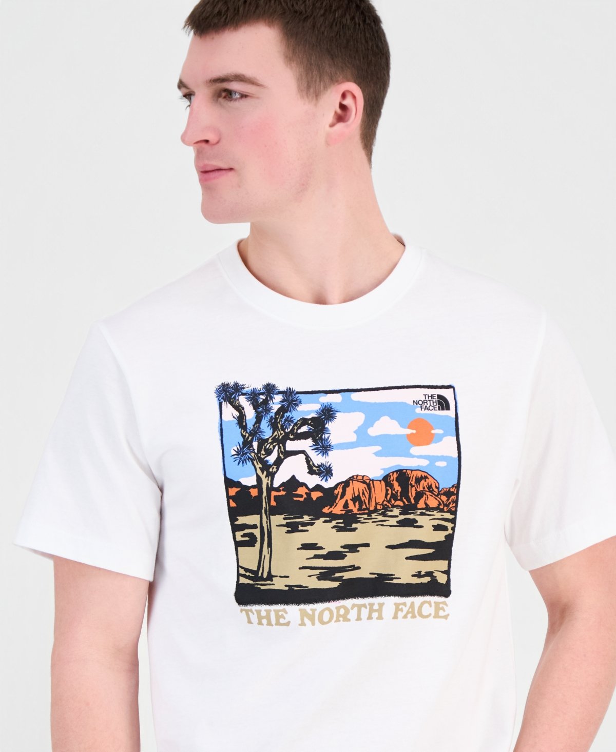 Mens The North Face Evolution Desert Graphic Short Sleeve T-Shirt
