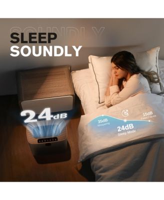 Large Room Air Purifier: PM2.5 display, 99.97% allergen removal (pet hair, etc.), double-sided intake. Covers 1076 sq ft, quiet 24dB