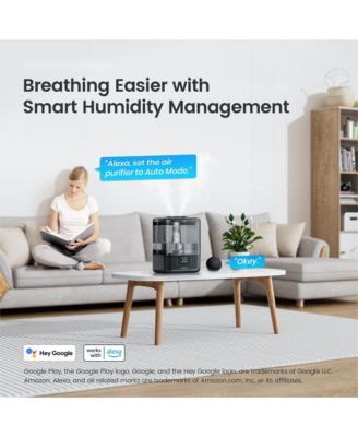 Smart Humidifier with App & Voice Control, 6L Cool Mist Humidifiers with Essential Oil Diffuser, 7 Color NightLight for Bedroom Home