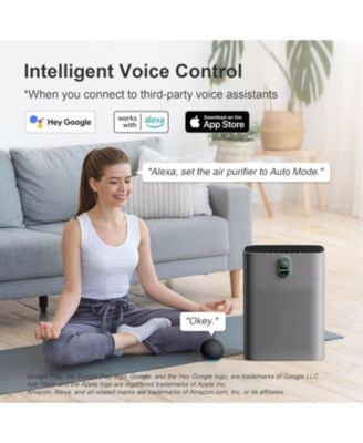 1076 ft² Smart Air Purifier: Wi-Fi/Alexa control, PM2.5 display, HEPA filter. Removes dust, pollen, smoke. Ultra-quiet 24dB