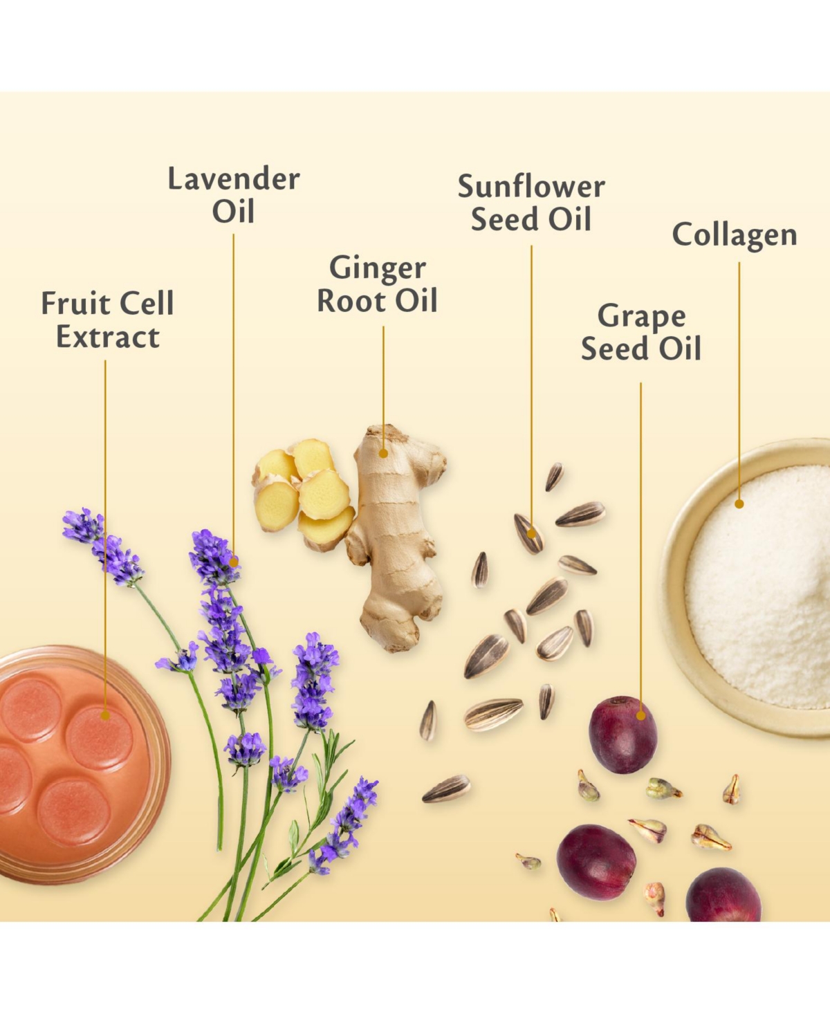 M3 Naturals - Ylang Ylang and Ginger Massage Lotion Infused with Collagen Stem Cell and Natural Essential Oils